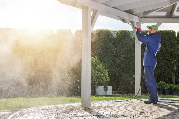 Best Roof Cleaning and Mildew Removal in Godley, TX